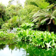 Image for article titled The World's Strangest and Most Magnificent Gardens
